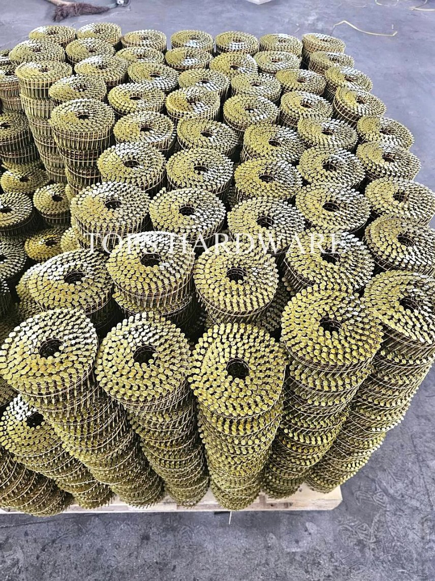 Coil Nail 2.5mm*50mm Galvanized Wood Screws Cheaper Roofing Nail Flat Head