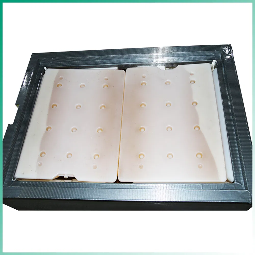 Medical Insulation Cold Box with Vacuum Insulated Panel Insulated Box
