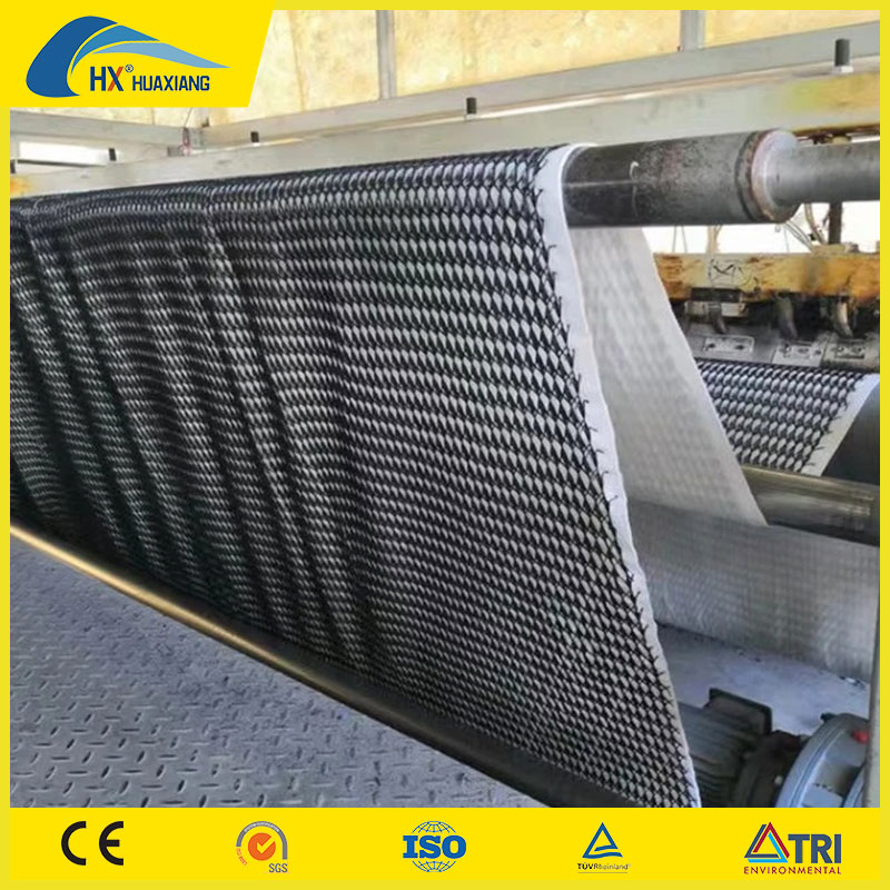 Hx Chinese Factory with Food Price Road Base 3D Composite Drainage Net for Road Construction 200g