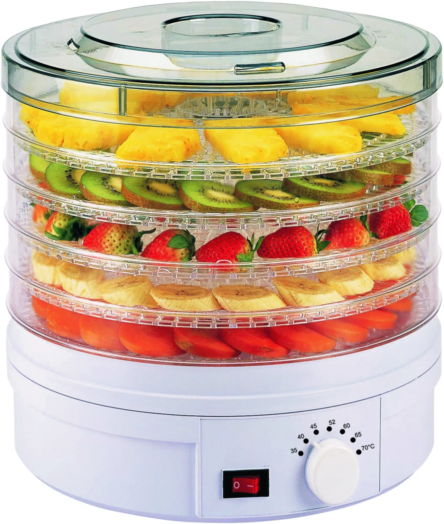 250W Electric Food Dehydrator