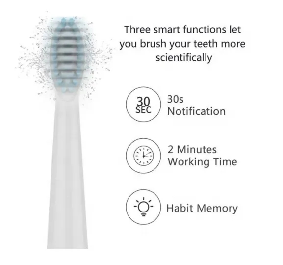 Best Personalized Ipx7 Silence OEM ABS Sonic Electric Toothbrush4
