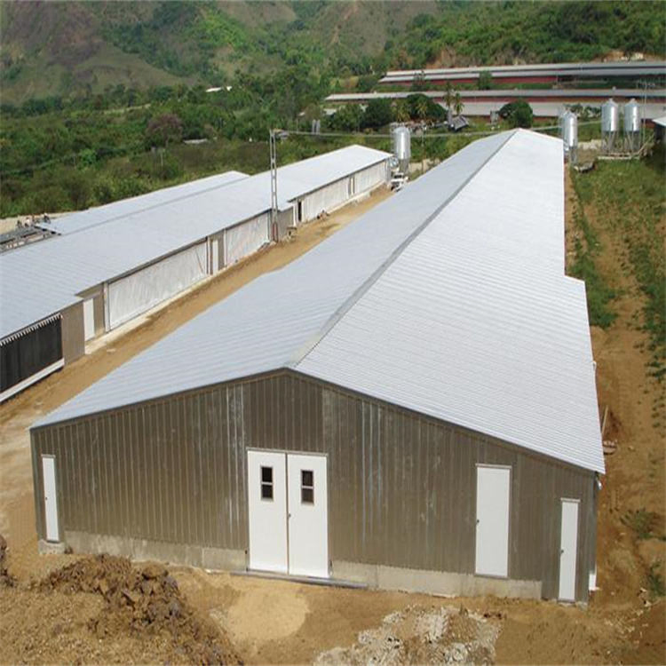 Fireproof Heat Insulation Prefab Light Steel Hen House for chicken