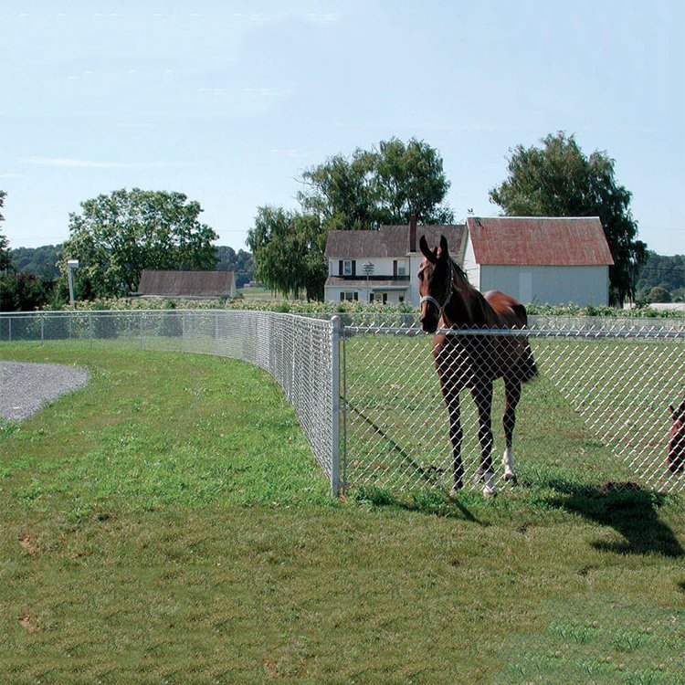 Anping High Quality Security Iron Steel Fence Used Chain Link Wire Mesh Hot Dipped Galvanized PVC Coated Chain Link Fence for Garden Fence