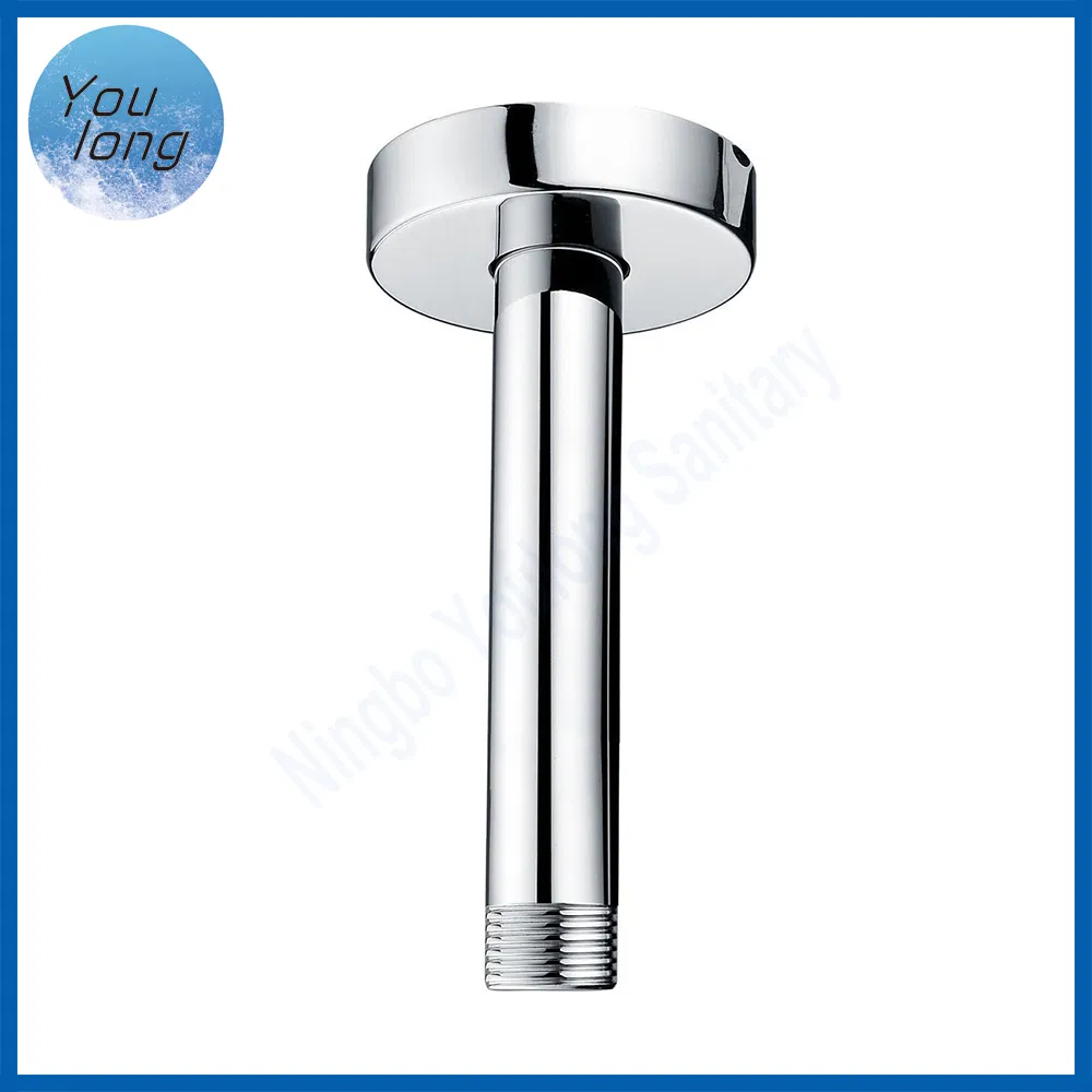 Wholesale Straight Fixed Ceiling Mounted Round Chrome Ss Shower Arm for Shower Head