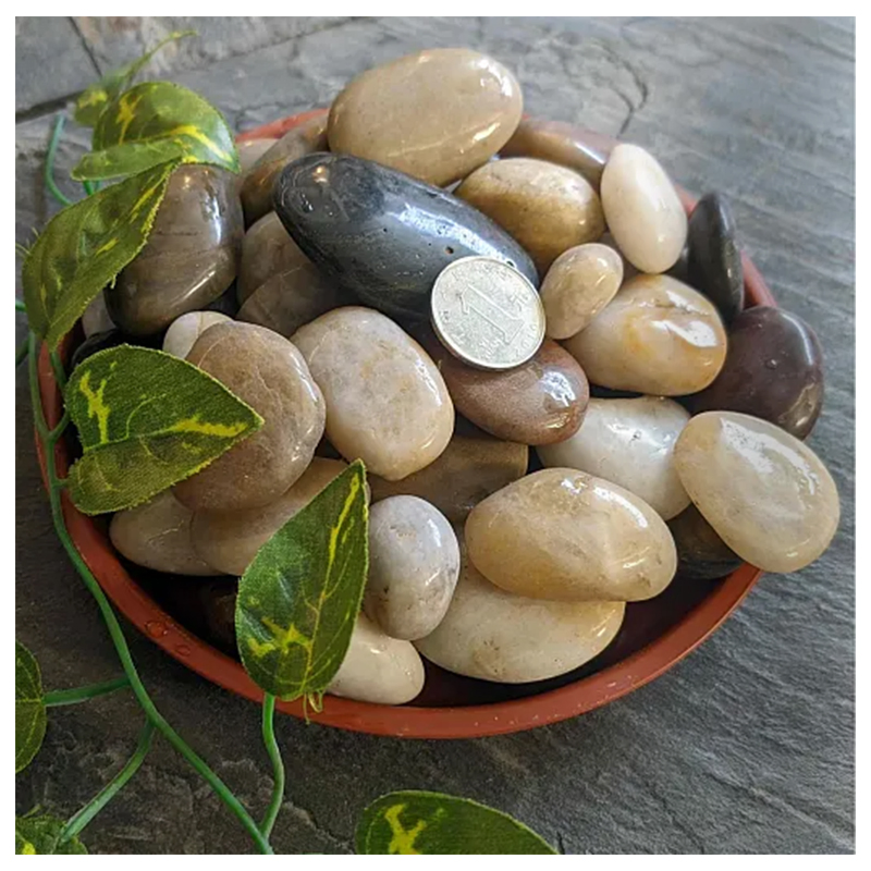 Natural Polished Mixed Color Pebble Stone for Garden