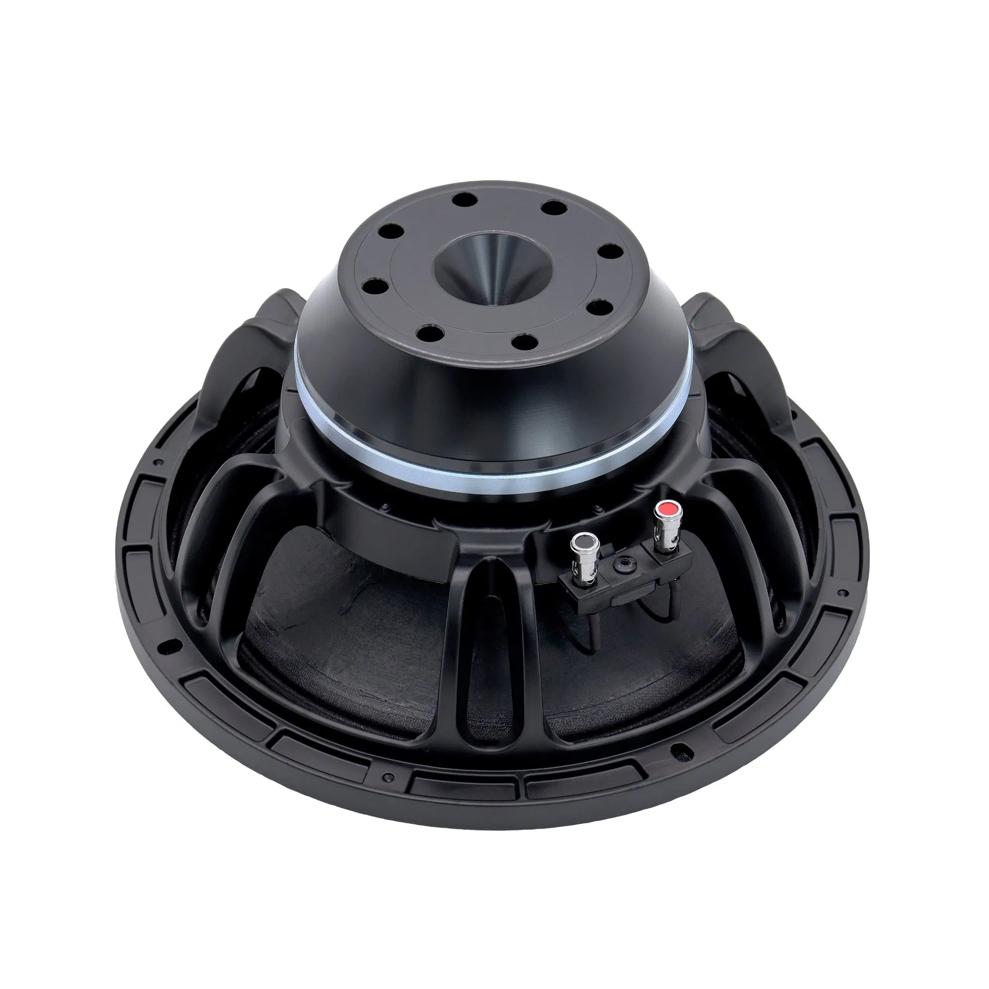 Professional 10 Inch Woofer Speaker 800W Stage PA Speaker OEM