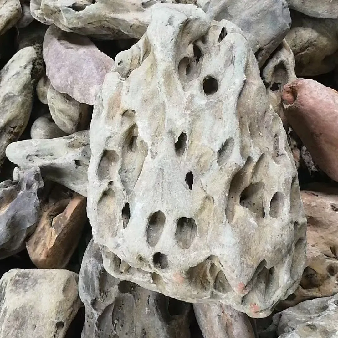River Tumbled Dragon Stone Ohko Rock Aquarium Rocks
