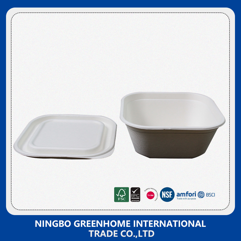Biodegradable Compostable Dinner Set Sugarcane Bagasse Lunch Box