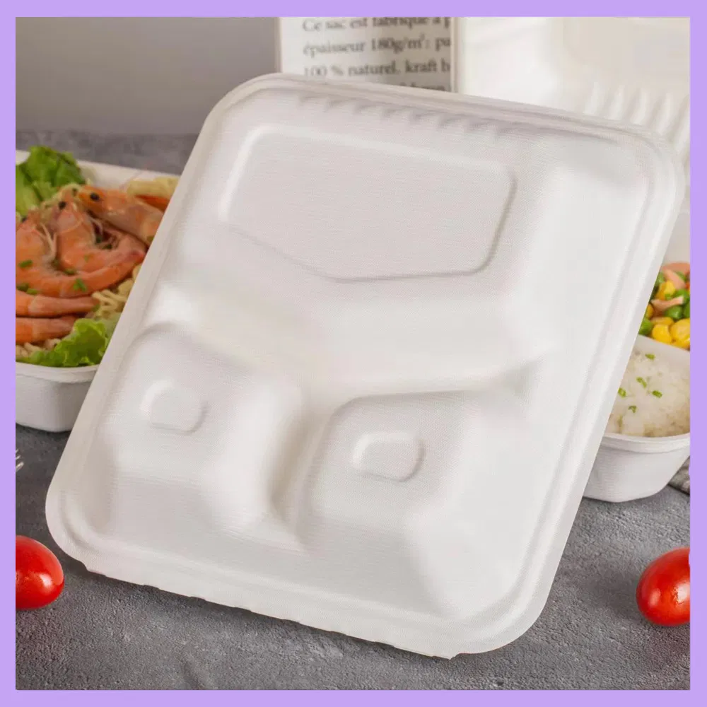 100% Compostable Takeaway Lunch Box Sugarcane Bagasse 3-Compartment Pulp Clamshell