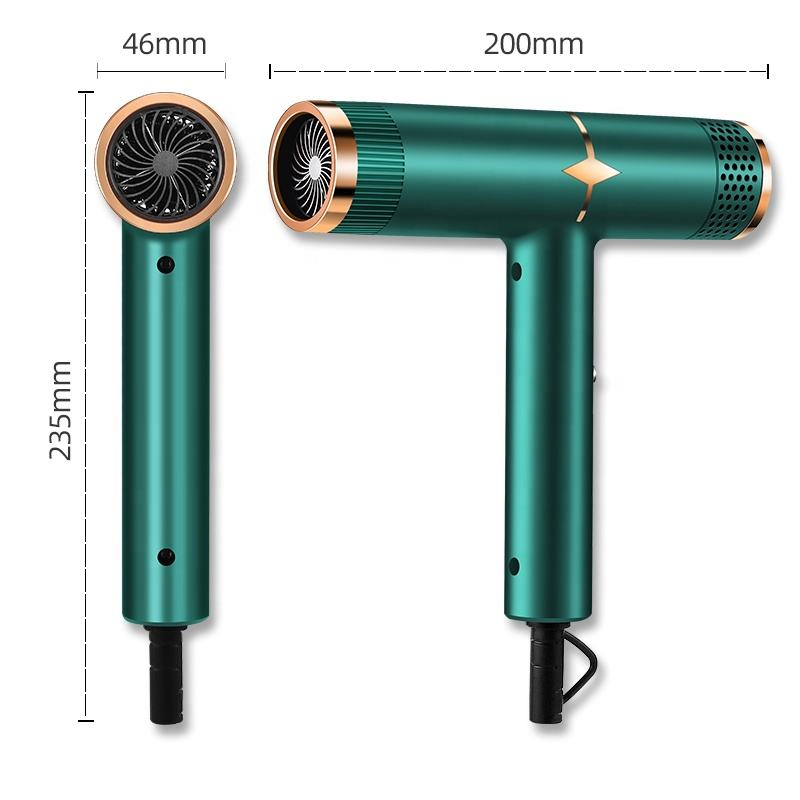 Professional Quick-Dry Hair Dryer for Home and Travel