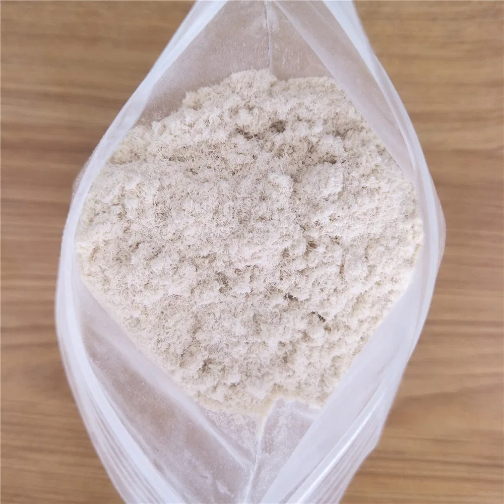 China Manufacturer Tile Adhesive Xylem Fiber