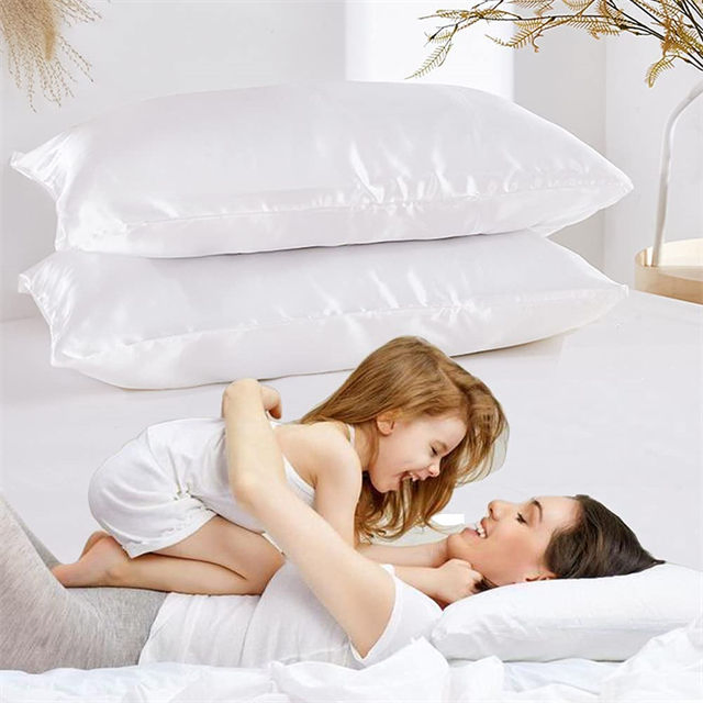 Customs Premium Quality 22mm Momme Skin Care Zipper Envelope Closure Pillowcase 100% Mulberry Silk Pillowcase for Home and Travel Use