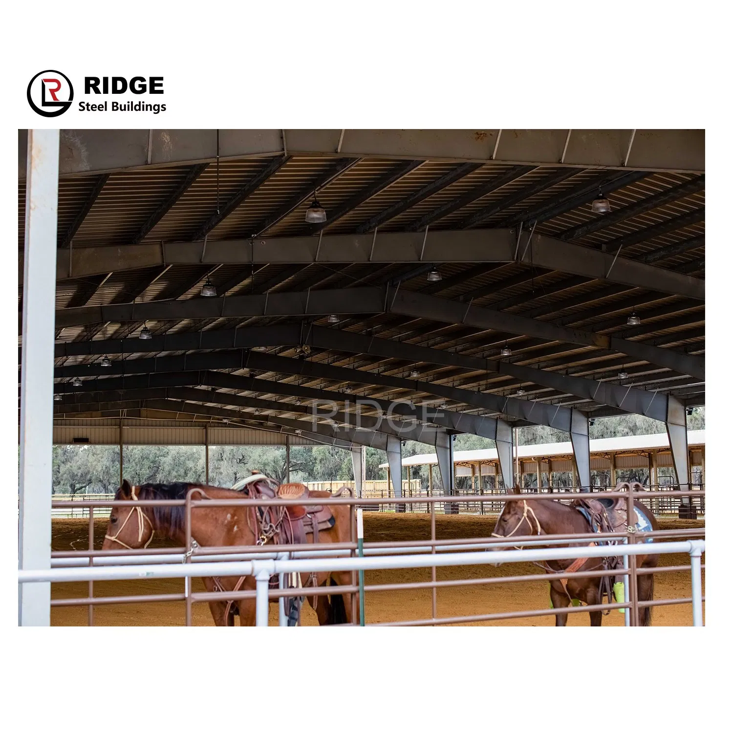 Steel Structure Manufacturers Prefab Construction Large Space Frame Warehouse Horse Riding Building