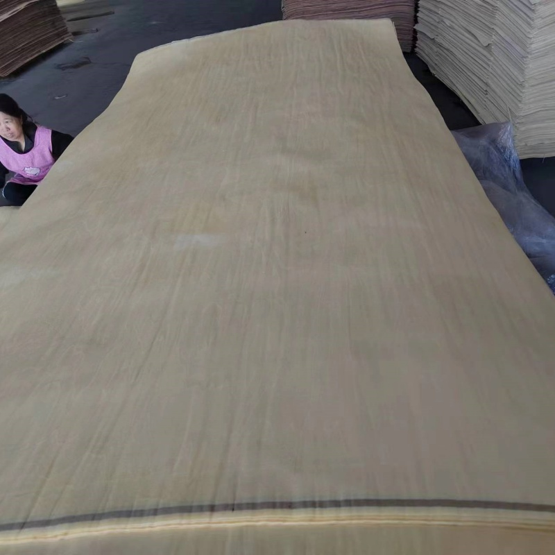 Door Usage Natural Rotary Cutting Face Bingtangor/Okoume/Pine/Birch Wood Veneer