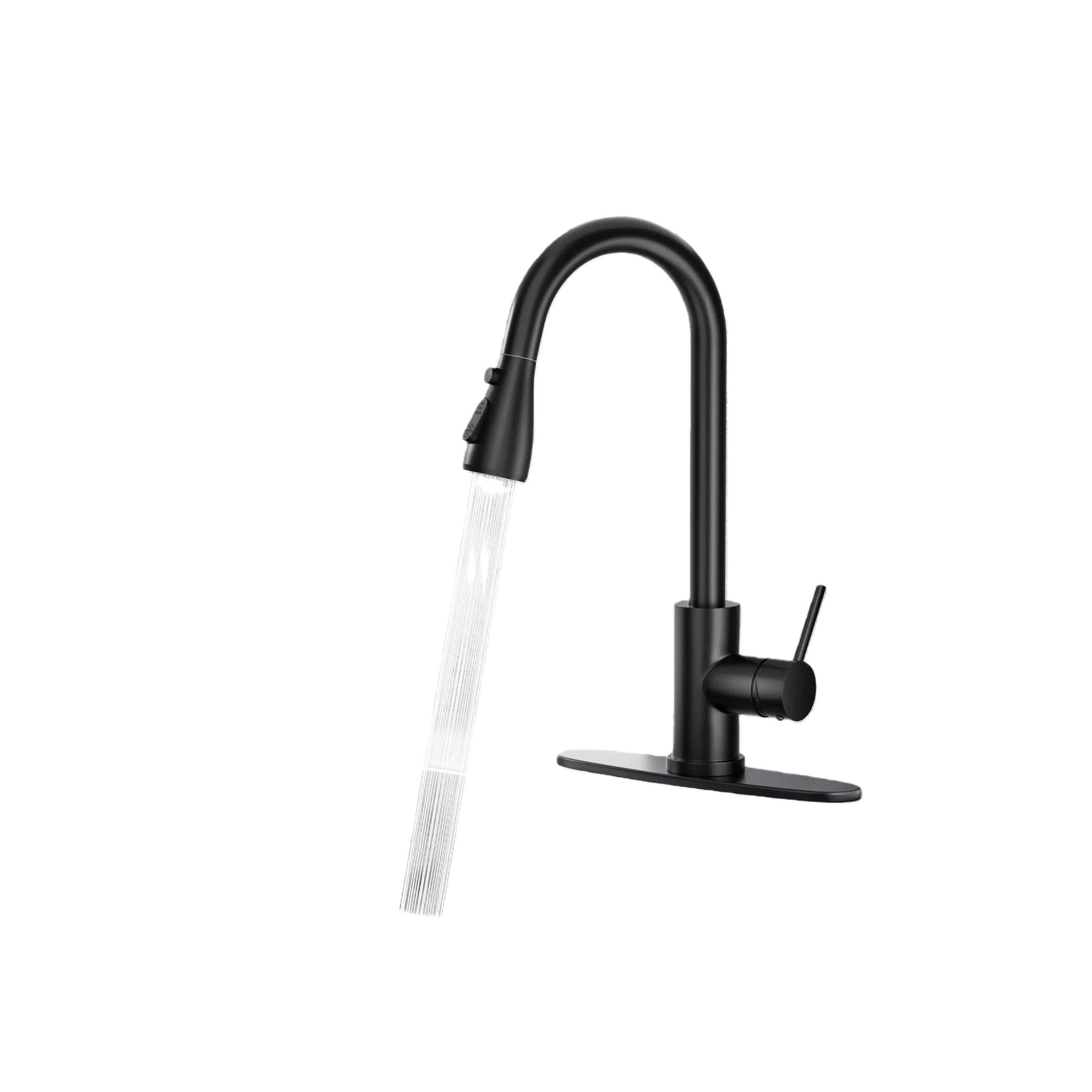 Black 304 Stainless Steel Kitchen Faucet for Export