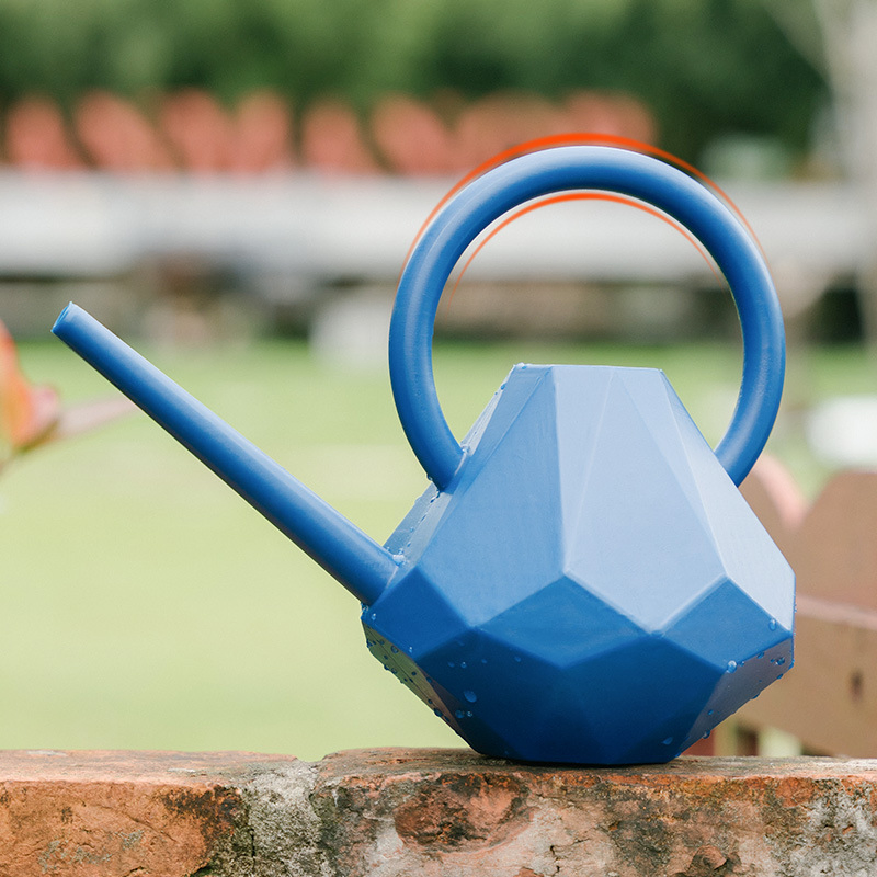 New Long-Spout Flower Watering Pot, a Diamond-Shaped Creative Water Watering Pot
