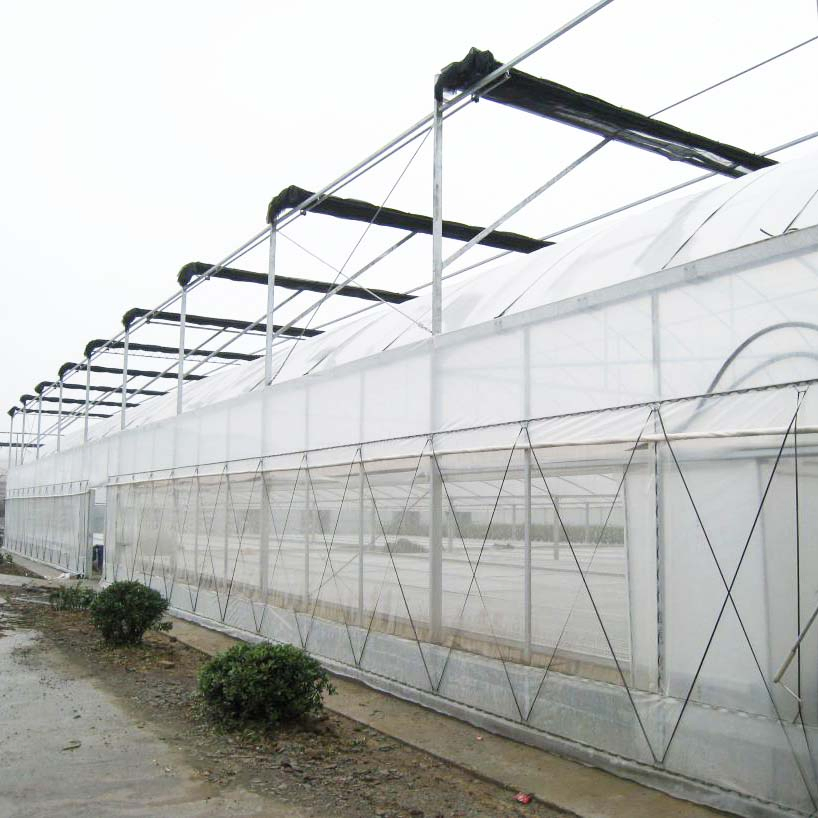 Manufacture Hot DIP Galvanized Steel Garden Hydroponics Green House with Insulation System