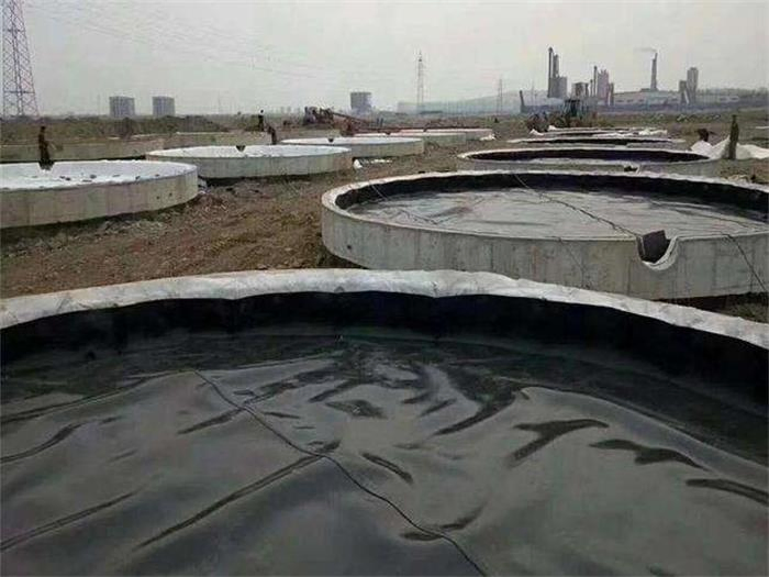 750 Microns HDPE Geomembrane Fish Farming Liner LDPE EPDM PVC Water Reservoir Geomembrane