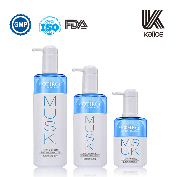 Branded Professional GMPC Factory Private Label Whole Hair Care Line