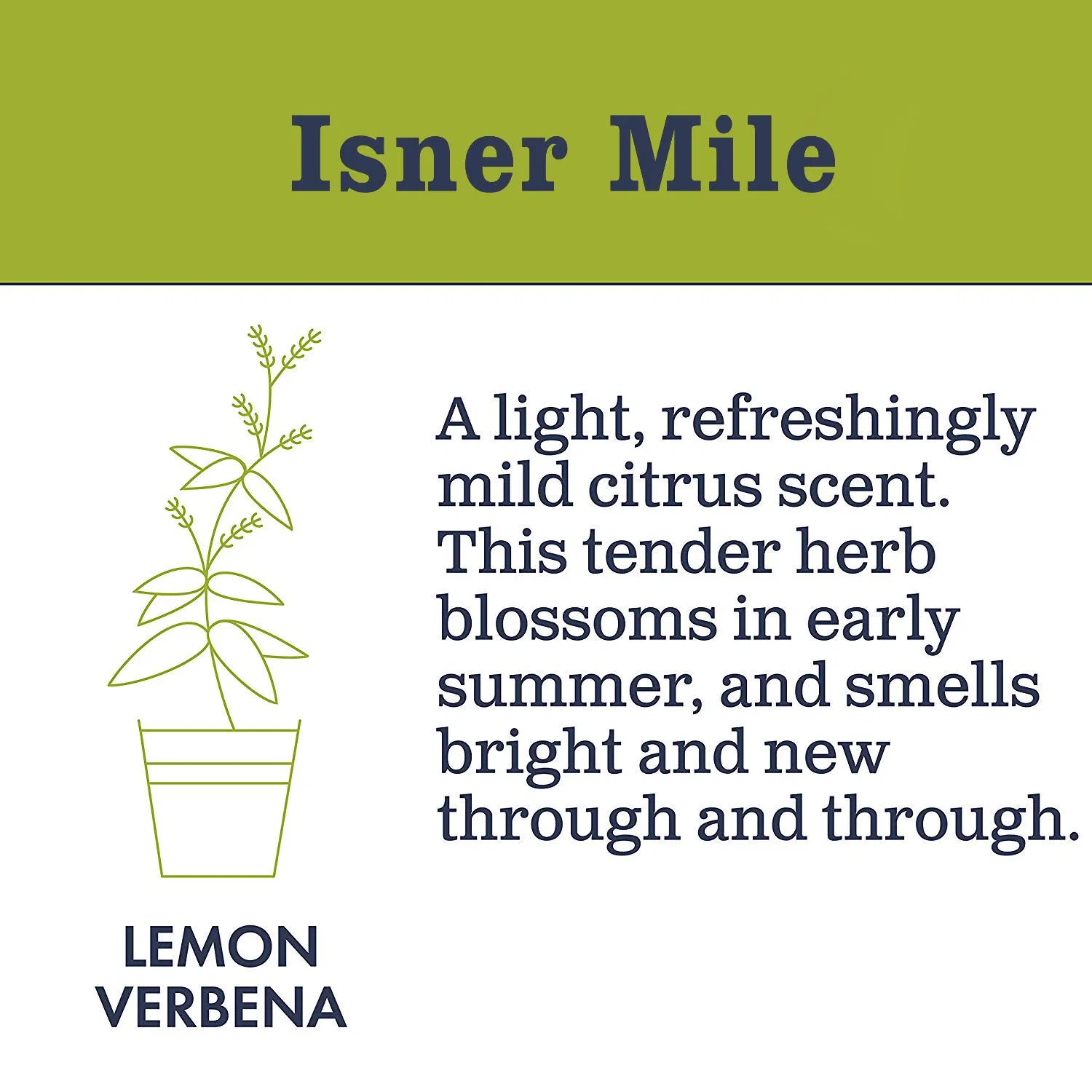 Private Label Lemon Hand Soap Wholesales Liquid Soap Toilet Soap Hand Wash