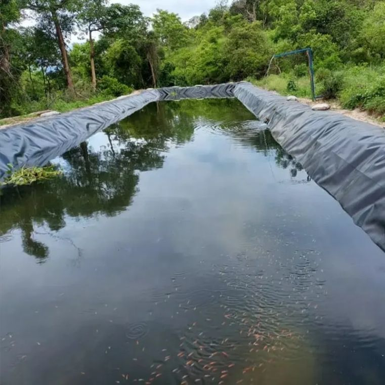 Geomembrane for Mining Ponds with Reliable Seepage Control Features
