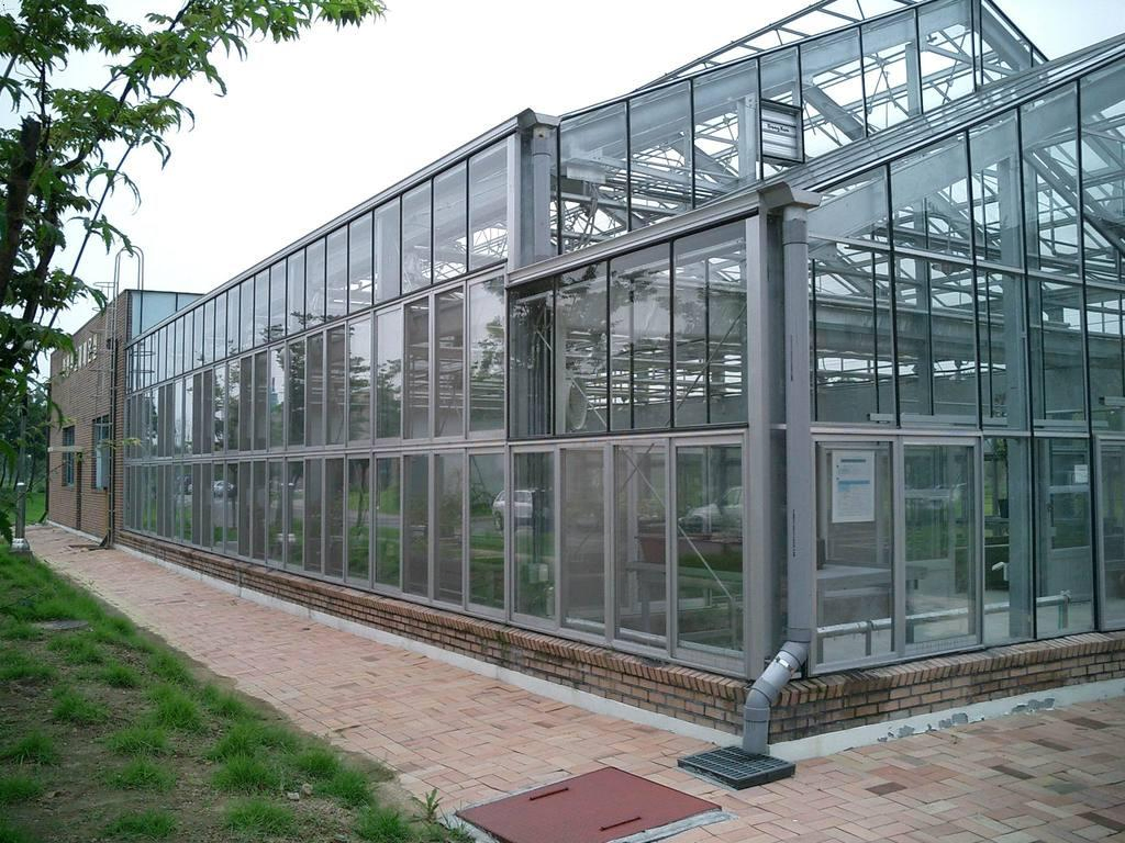 3mm 3.2mm 4mm Clear/Ultra Clear Greenhouse Glass Tempered Glass