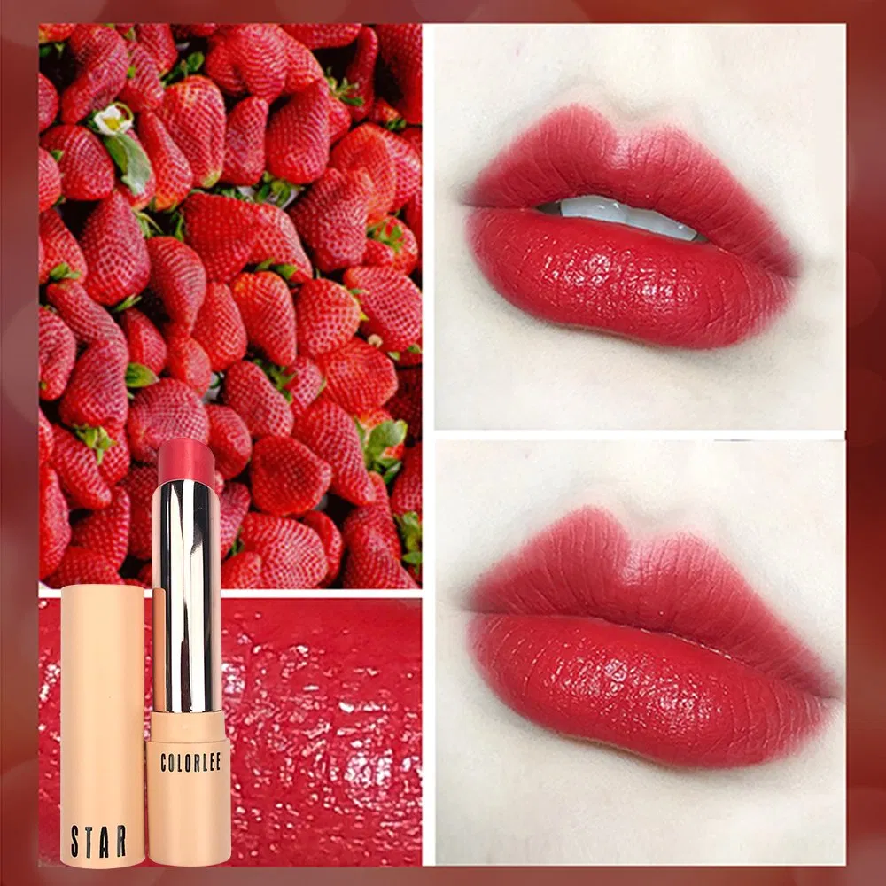 Moisturizing Lipstick Waterproof Lip Stick Long Lasting