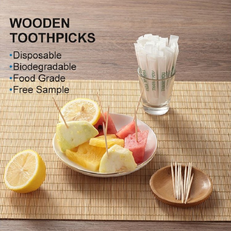 Natrul Paper Wrapped Mint Flavoured Wood Bambootoothpick Food Grade