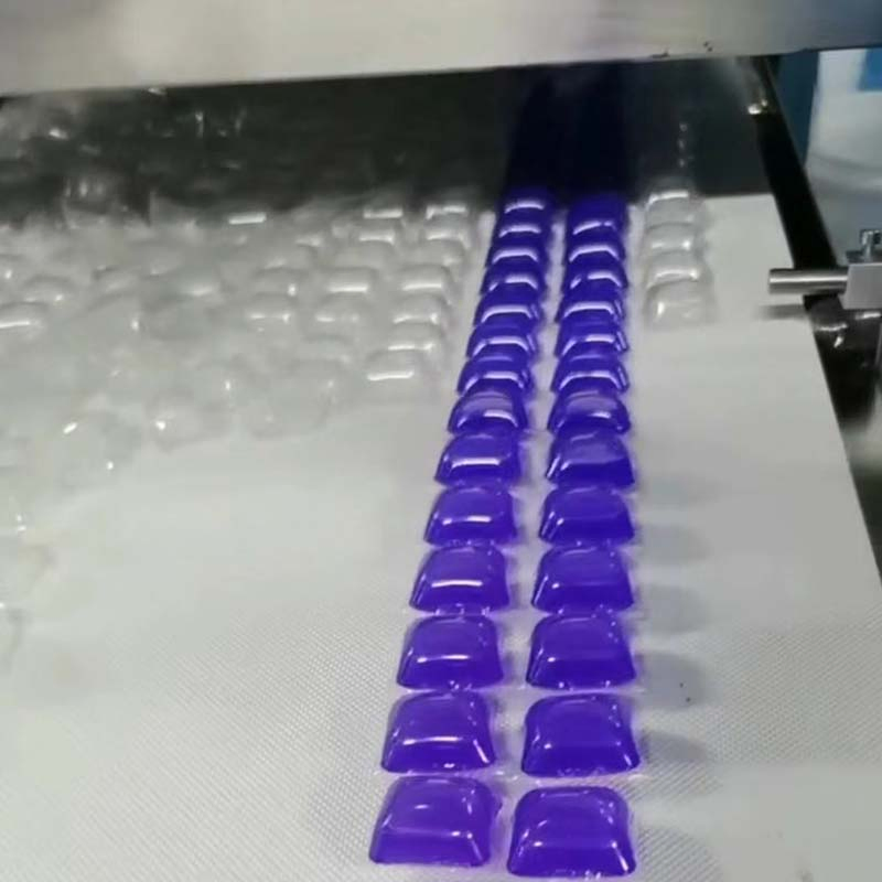 Can Customize 8g 10g 12g 15g 20g 25g 30g Single Two in One Three in One OEM Private Label Capsule Detergent