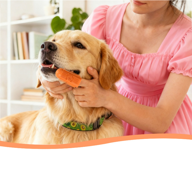 Hot Selling Pet Dog Cat 360 Degree Food Grade Silicone Finger Toothbrush
