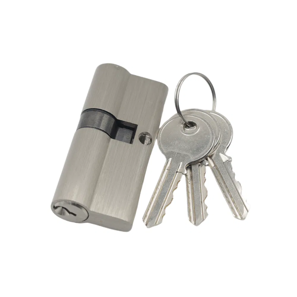 Office Furniture Euro Profile Brass Master Key Body Door Lock Master Key Cylinder Manufacturing Company