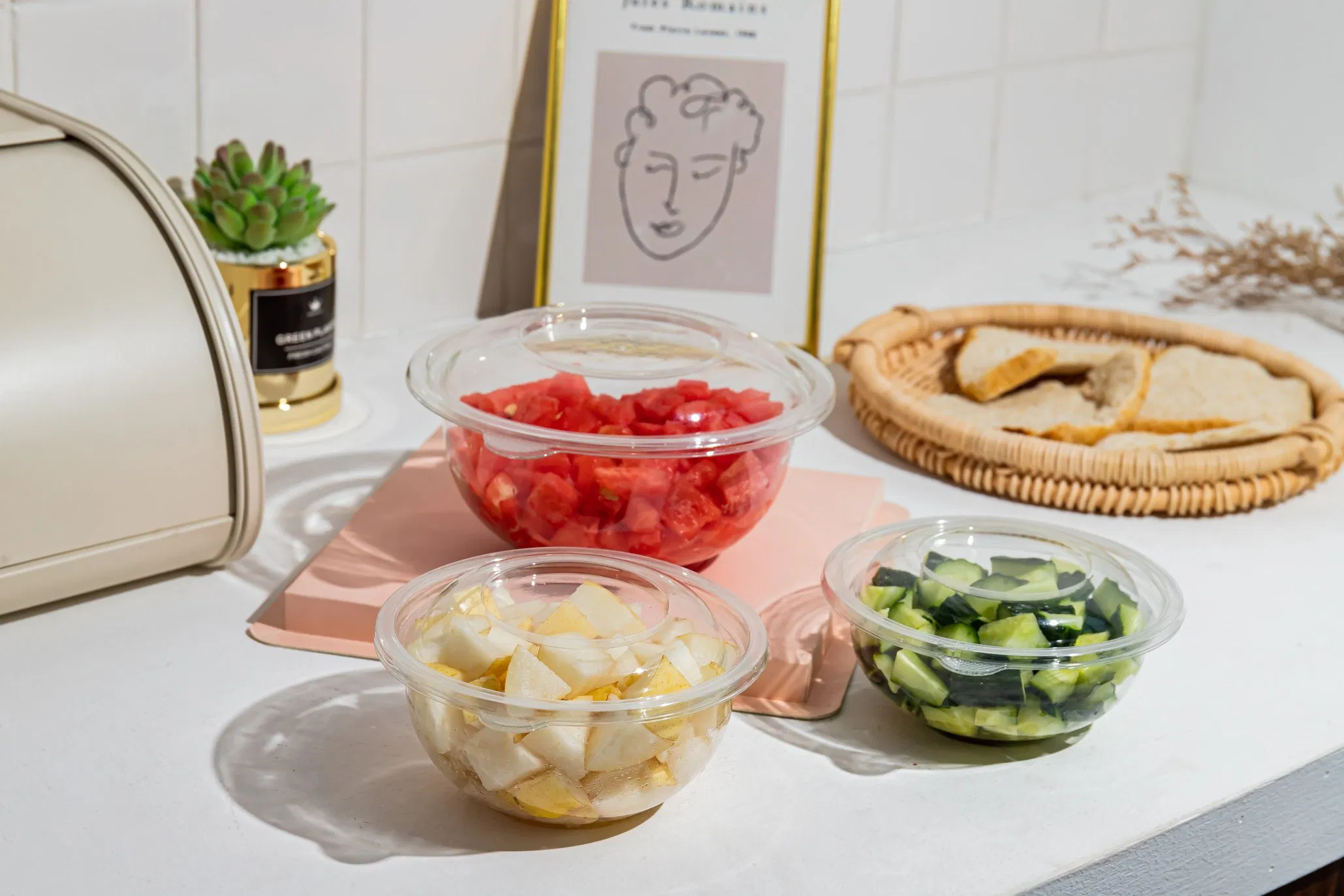 24oz Disposable Plastic Pet Salad Dressing Food Cup