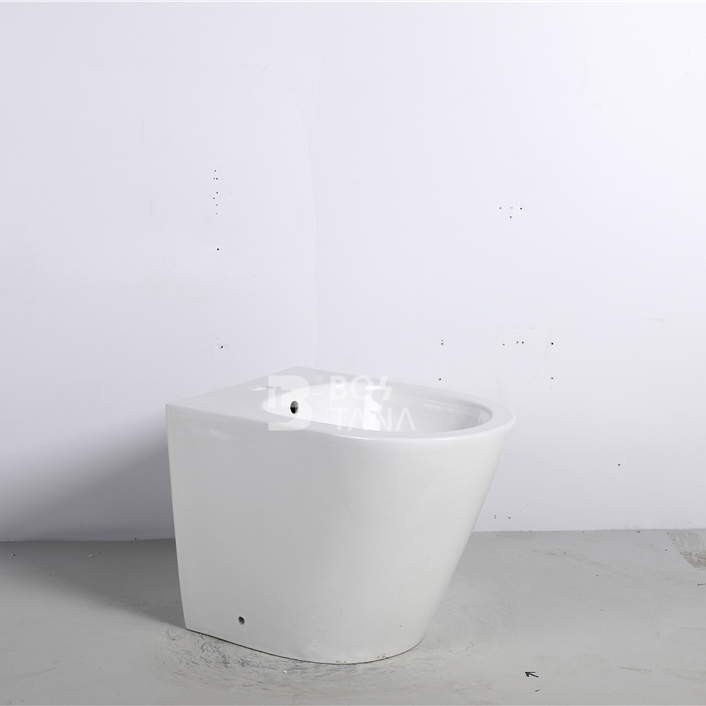 Ceramic Wash Toilet Bidet Bathroom Sanitary Floor Mounted Bidet