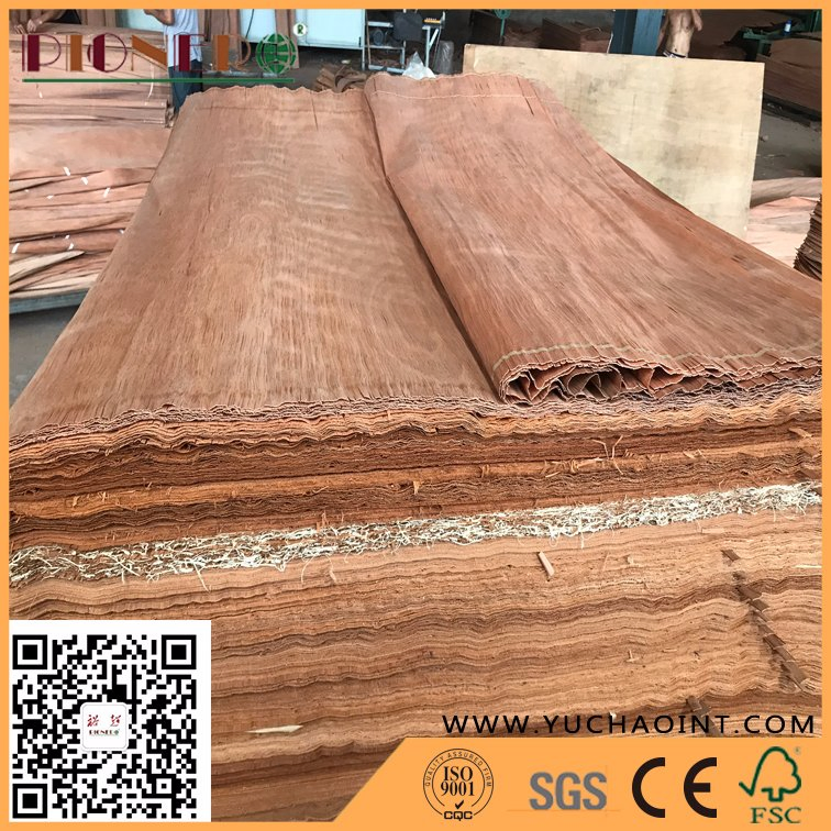 B Grade Natureal PA/Plb Veneer for India Market