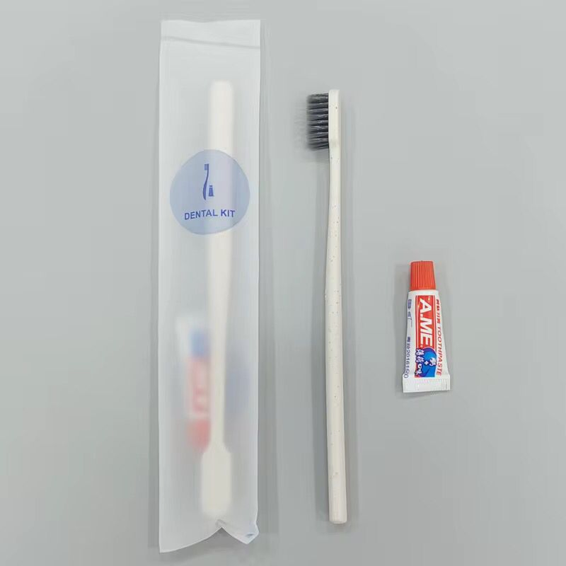 Hotel Disposable Toothbrush with Mini Toothpaste Kit Travel Dentel Kit