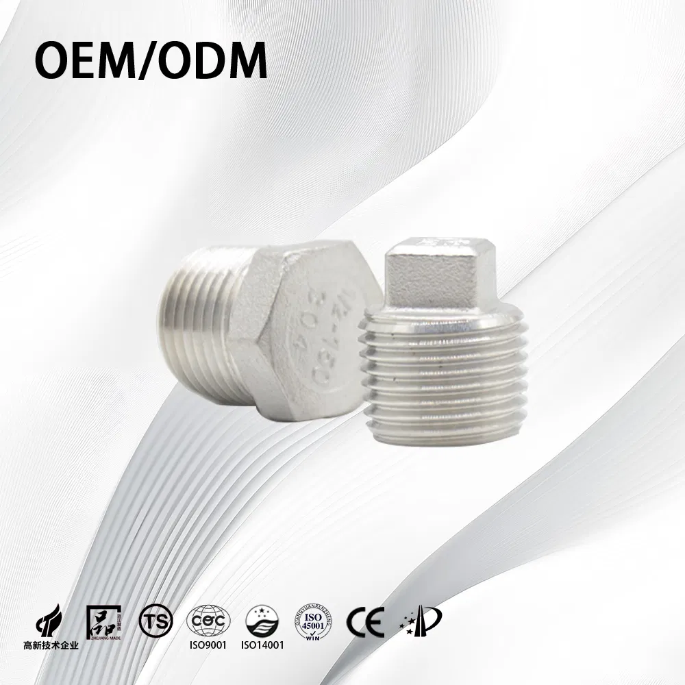 Stainless Steel Customize Threaded Pipe Fitting End Plug for Chemical Handling Pipe