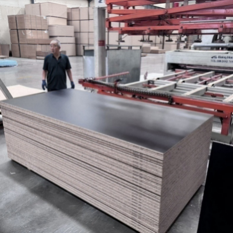 Wear-Resistant Pet Board for High-Traffic Conveyor Guides