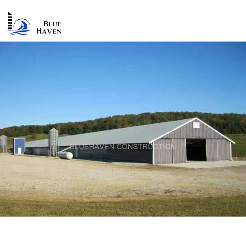 Low Cost Steel Frame Poultry Farm Design for Chicken / Duck House