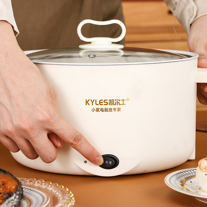 Kaiershi Jj-20f Mini Electric Hot Pot Cooker with Steamer