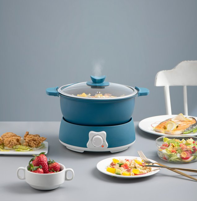 Electric Travel Cooker with Frying Pan 26cm Deep Pot and Grill Pan