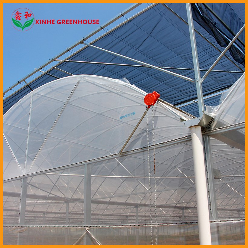 Farm Multi Span Garden Warm Agro Arch Type Vegetables Greenhouse for Agriculture