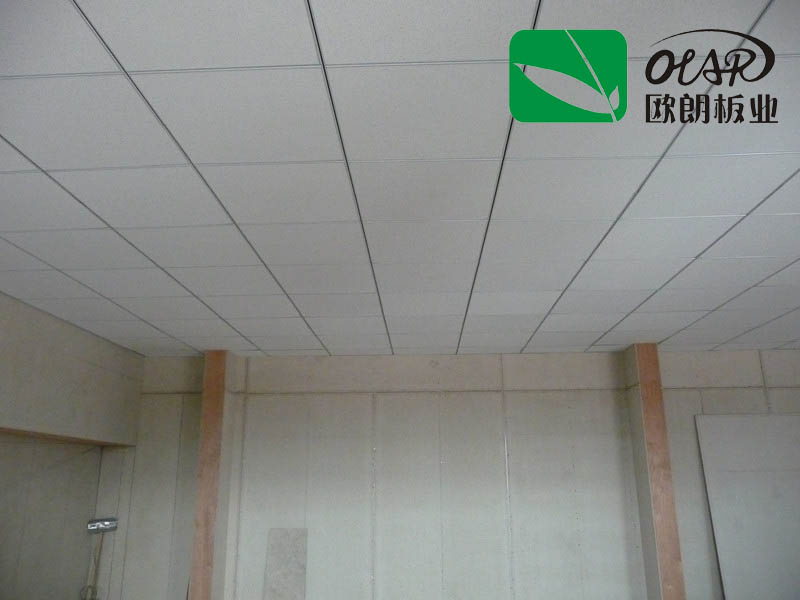 Fiber Cement Board 100% Non-Asbestos Internal Ceiling Board/ Panel (Building material)