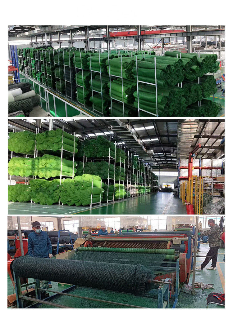 Lightweight Vegetation Net Breathable for Rooftop Garden Greening Plant Protection Custom Length