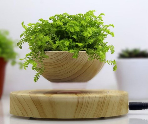 Christmas Gift Decoration Magnetic Levitation Floating Real Plant Pot Bonsai for Decoration Promotion