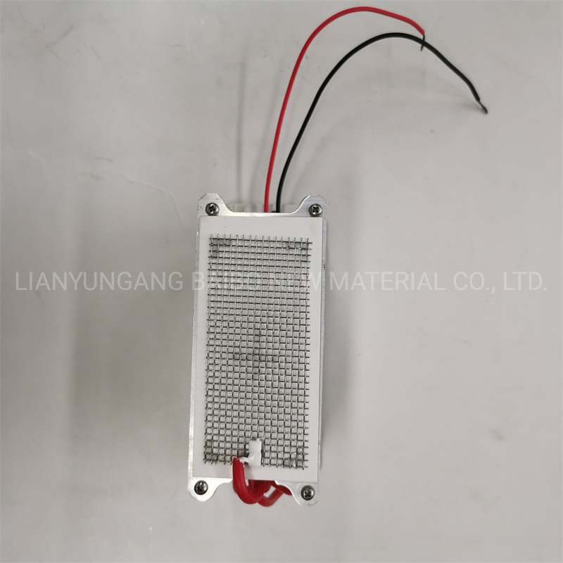 Disinfection Water Treatment Ozone Generator O3 Output 5g 10g Module Machine