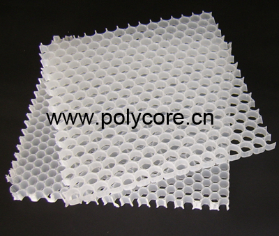 Plastic Honeycomb Core Beehive Core (PP12) for Air Purifier
