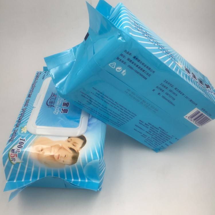 Gentle Baby Hand and Hip Wet Wipes for Everyday Use