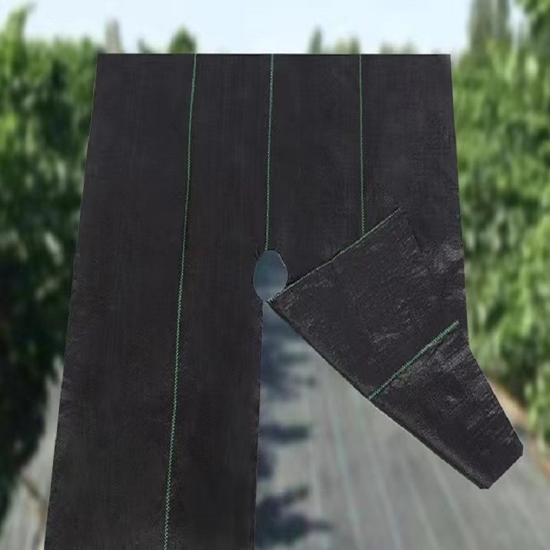 Durable Non-Woven Geotextile Weed Control Mat for Agriculture