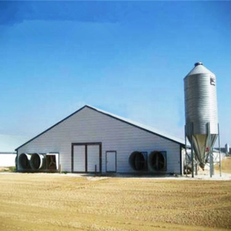 Prefabricated Light Prefab Steel Structure Farmhouse 125*15*3m Poultry Farm Chicken House Broiler Shed