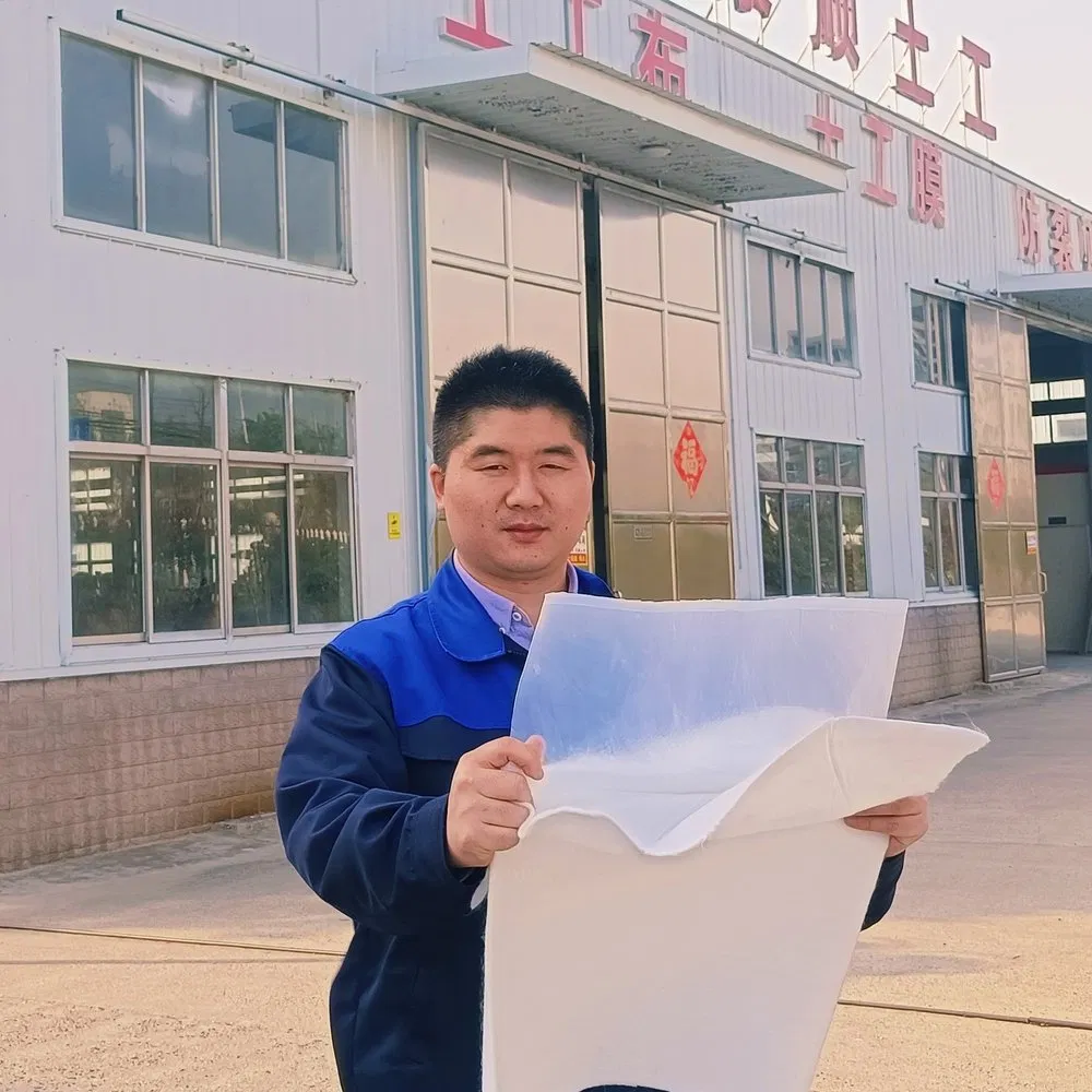 Durability Anti-Static OEM ODM Custom 0.25-0.35mm Thicknesslong Service Life Composite Geotextile Geomembrane